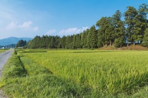 田園風景移住